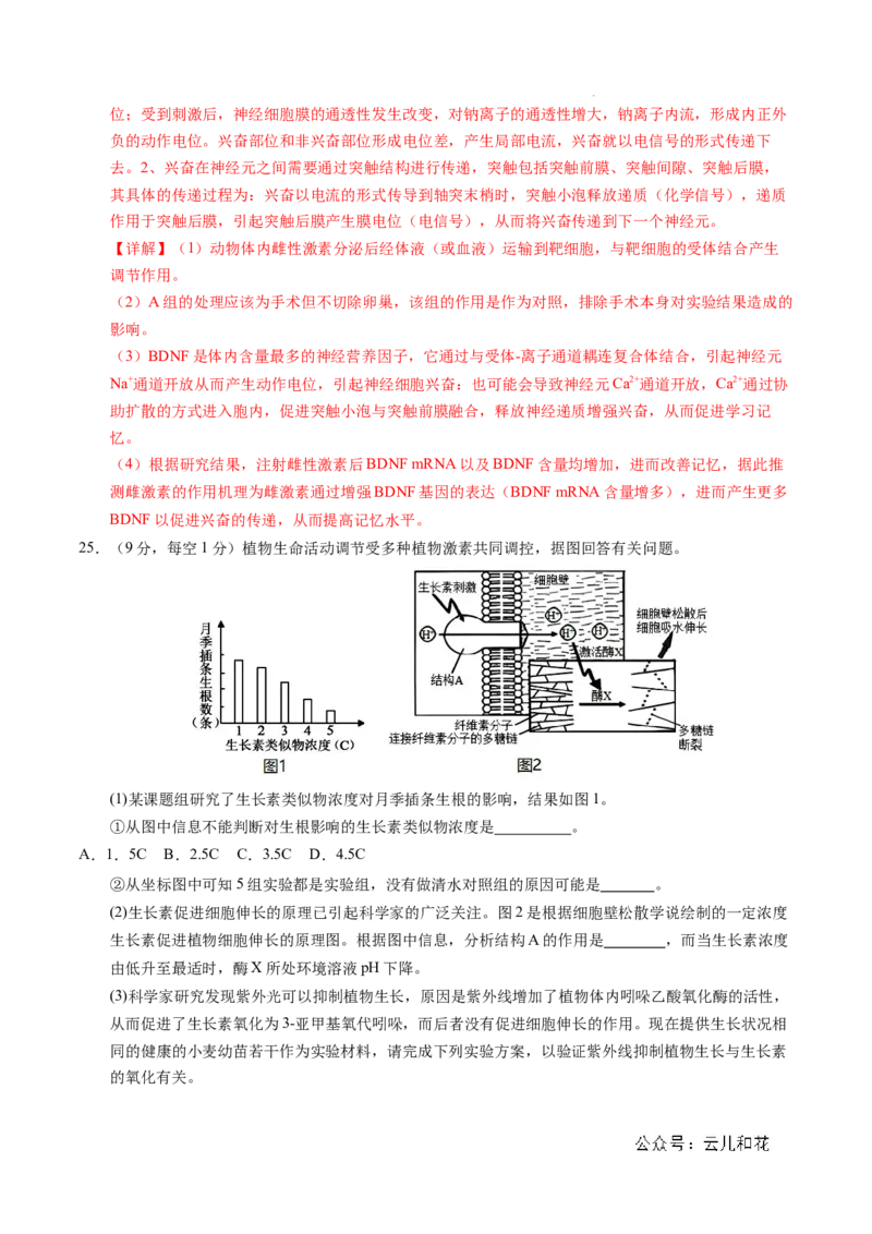 高二生物期中模拟卷02（全解全析）（新高考通用）(1)_1多考区联考_1014高二期中模拟卷（新高考通用）黄金卷：2024-2025学年高二上学期期中模拟考试