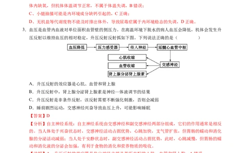 高二生物期中模拟卷02（全解全析）（新高考通用）(1)_1多考区联考_1014高二期中模拟卷（新高考通用）黄金卷：2024-2025学年高二上学期期中模拟考试