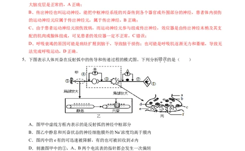 高二生物期中模拟卷02（全解全析）（新高考通用）(1)_1多考区联考_1014高二期中模拟卷（新高考通用）黄金卷：2024-2025学年高二上学期期中模拟考试