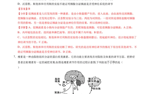 高二生物期中模拟卷02（全解全析）（新高考通用）(1)_1多考区联考_1014高二期中模拟卷（新高考通用）黄金卷：2024-2025学年高二上学期期中模拟考试