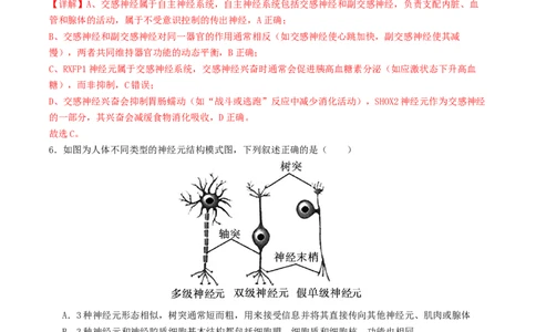 高二生物第一次月考卷（全解全析）（山东专用）_1多考区联考试卷_2510142025-2026学年高二生物上学期第一次月考试题_2025-2026学年高二生物上学期第一次月考（山东专用）Word版含解析