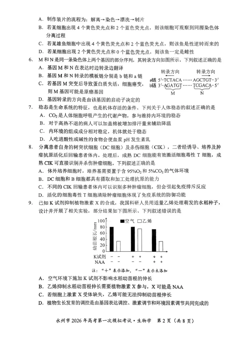 湖南省永州市2025-2026学年高考第一次模拟考试生物试卷（含答案）_2025年9月_250920湖南省永州市2026届高三上学期第一次模拟考试（全科）
