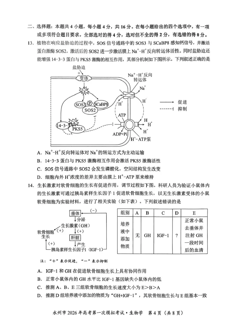 湖南省永州市2025-2026学年高考第一次模拟考试生物试卷（含答案）_2025年9月_250920湖南省永州市2026届高三上学期第一次模拟考试（全科）