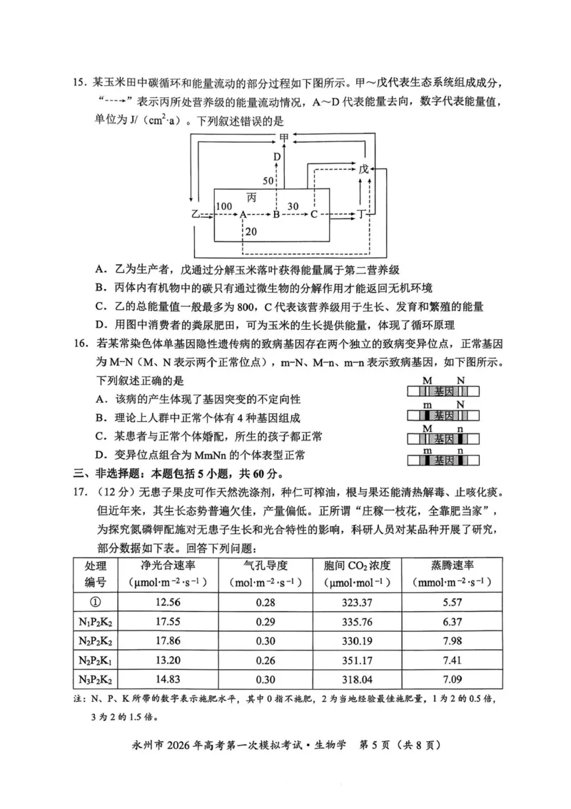 湖南省永州市2025-2026学年高考第一次模拟考试生物试卷（含答案）_2025年9月_250920湖南省永州市2026届高三上学期第一次模拟考试（全科）