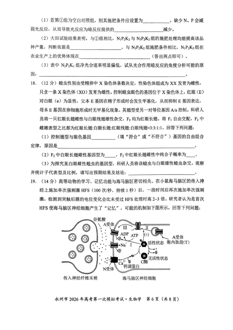 湖南省永州市2025-2026学年高考第一次模拟考试生物试卷（含答案）_2025年9月_250920湖南省永州市2026届高三上学期第一次模拟考试（全科）