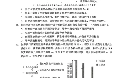 湖南省永州市2025-2026学年高考第一次模拟考试生物试卷（含答案）_2025年9月_250920湖南省永州市2026届高三上学期第一次模拟考试（全科）