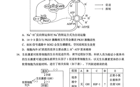 湖南省永州市2025-2026学年高考第一次模拟考试生物试卷（含答案）_2025年9月_250920湖南省永州市2026届高三上学期第一次模拟考试（全科）