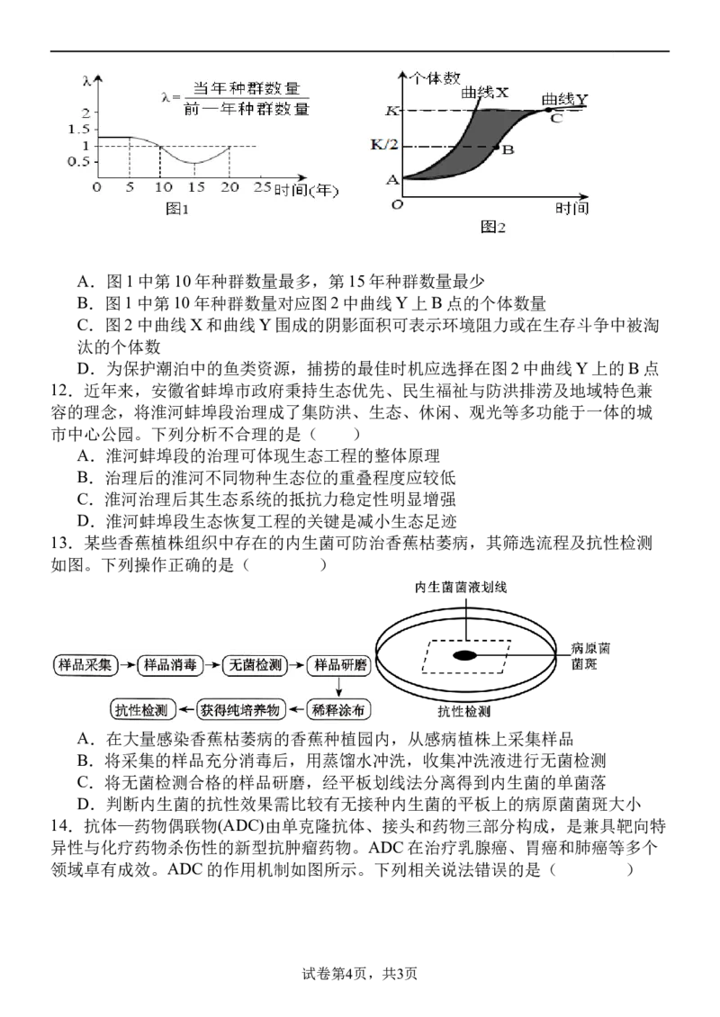 福建省福州市四校联盟2025-2026学年高三上学期期中联考生物试题_2025年11月_251123福建省福州市四校联盟2025-2026学年高三上学期期中联考（全科）