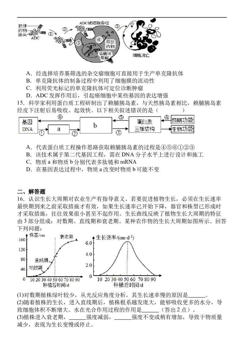 福建省福州市四校联盟2025-2026学年高三上学期期中联考生物试题_2025年11月_251123福建省福州市四校联盟2025-2026学年高三上学期期中联考（全科）