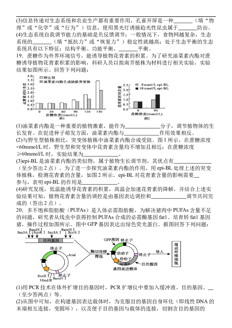 福建省福州市四校联盟2025-2026学年高三上学期期中联考生物试题_2025年11月_251123福建省福州市四校联盟2025-2026学年高三上学期期中联考（全科）