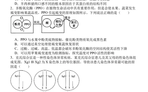 福建省福州市四校联盟2025-2026学年高三上学期期中联考生物试题_2025年11月_251123福建省福州市四校联盟2025-2026学年高三上学期期中联考（全科）