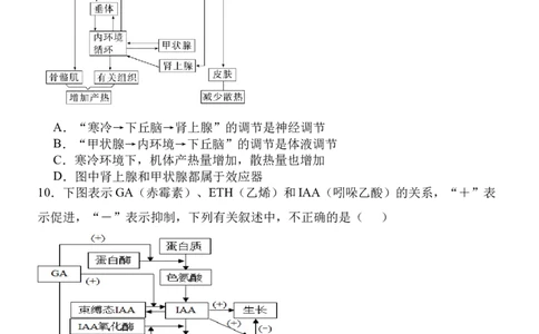 福建省福州市四校联盟2025-2026学年高三上学期期中联考生物试题_2025年11月_251123福建省福州市四校联盟2025-2026学年高三上学期期中联考（全科）