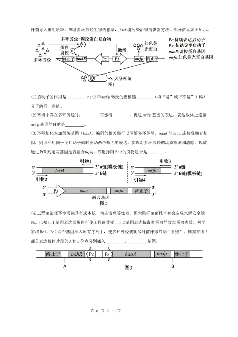 广东省六校联考2026届高三上学期第二次联考生物学试题_2025年10月_251019广东省六校联盟2025-2026学年高三上学期第二次联考