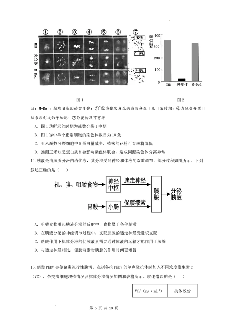 广东省六校联考2026届高三上学期第二次联考生物学试题_2025年10月_251019广东省六校联盟2025-2026学年高三上学期第二次联考
