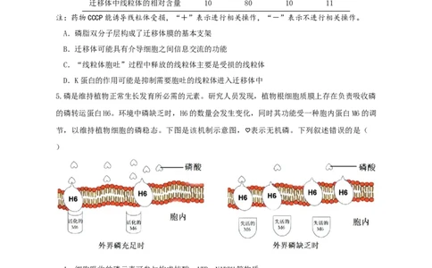 广东省六校联考2026届高三上学期第二次联考生物学试题_2025年10月_251019广东省六校联盟2025-2026学年高三上学期第二次联考
