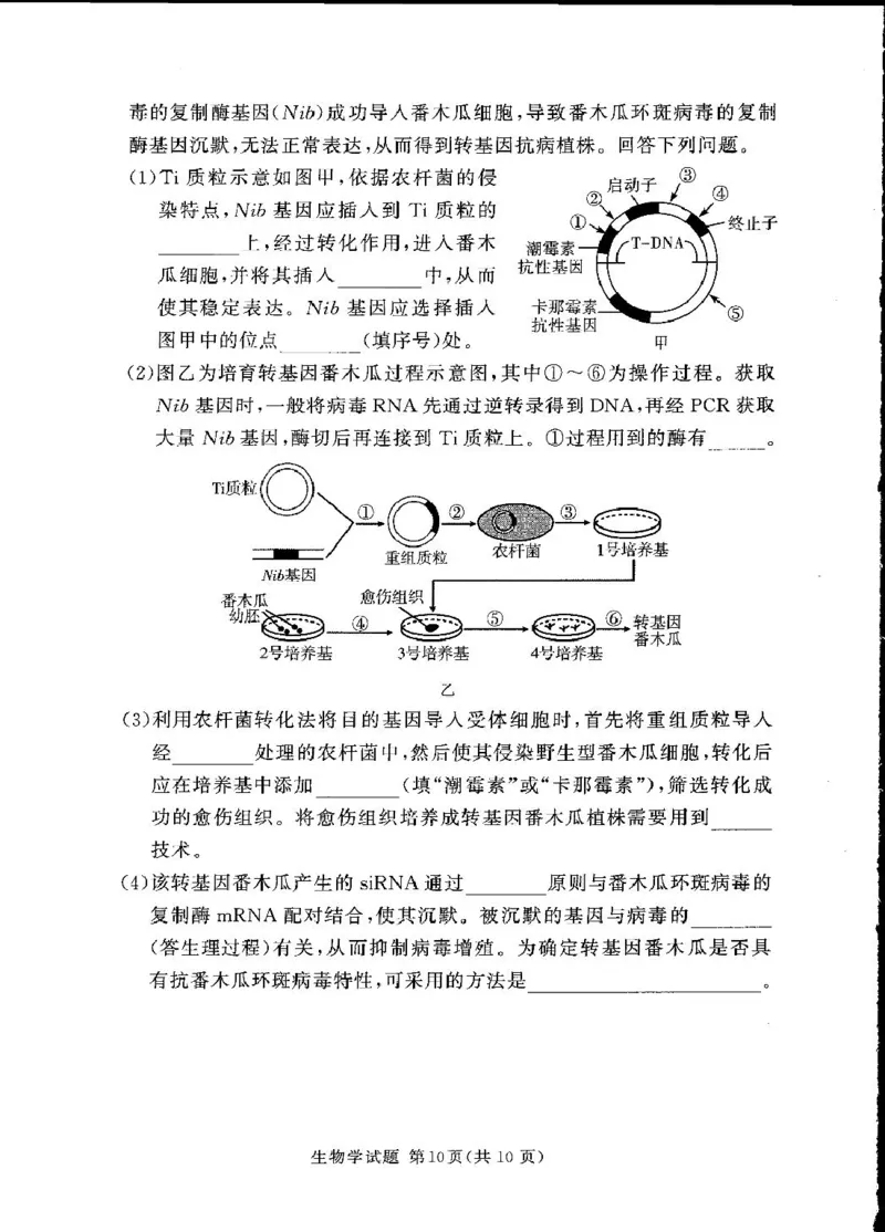 湘豫名校联考2024-2025学年高三下学期第四次模拟考试生物试卷_2025年5月_250527湘豫名校联考2024-2025学年高三下学期第四次模拟考试（全科）