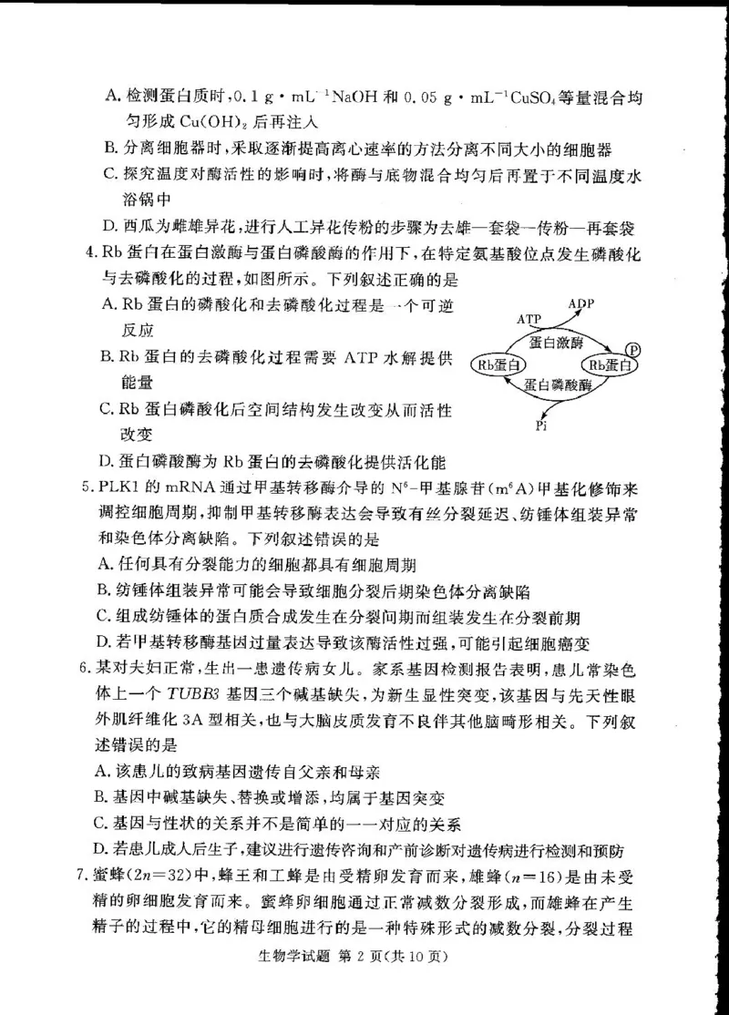 湘豫名校联考2024-2025学年高三下学期第四次模拟考试生物试卷_2025年5月_250527湘豫名校联考2024-2025学年高三下学期第四次模拟考试（全科）