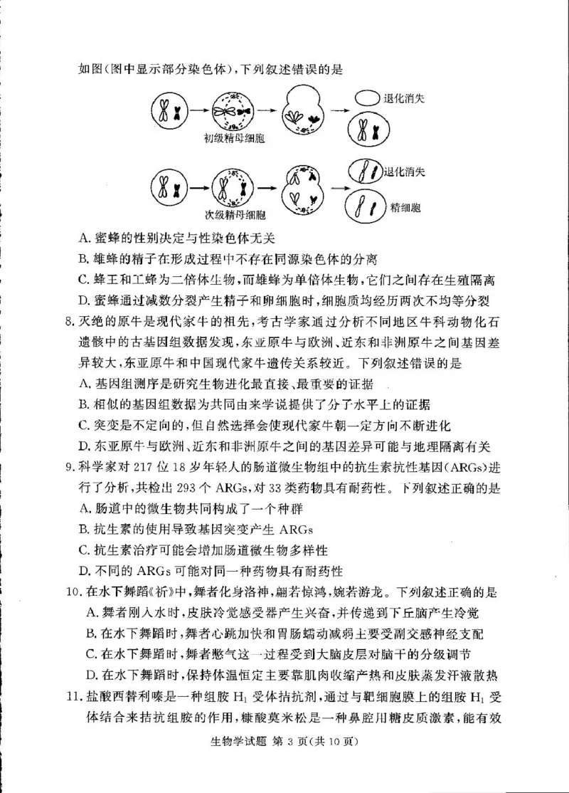 湘豫名校联考2024-2025学年高三下学期第四次模拟考试生物试卷_2025年5月_250527湘豫名校联考2024-2025学年高三下学期第四次模拟考试（全科）