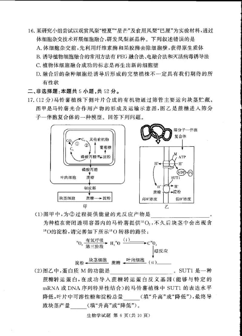 湘豫名校联考2024-2025学年高三下学期第四次模拟考试生物试卷_2025年5月_250527湘豫名校联考2024-2025学年高三下学期第四次模拟考试（全科）