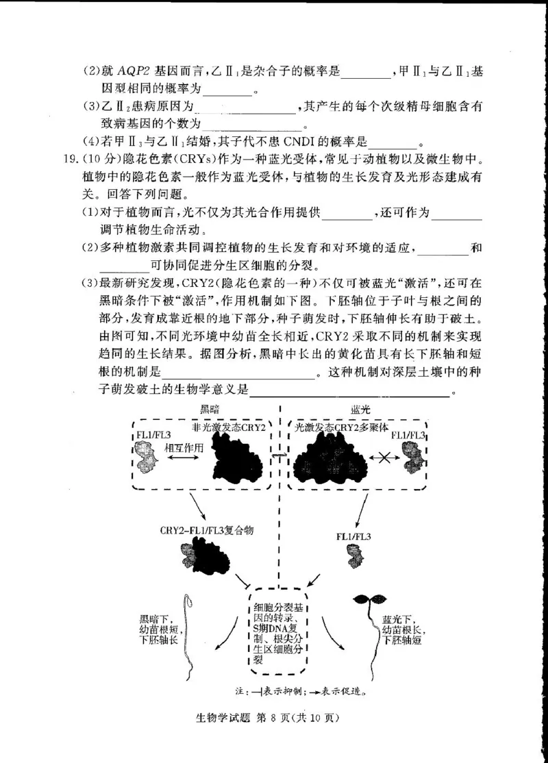 湘豫名校联考2024-2025学年高三下学期第四次模拟考试生物试卷_2025年5月_250527湘豫名校联考2024-2025学年高三下学期第四次模拟考试（全科）