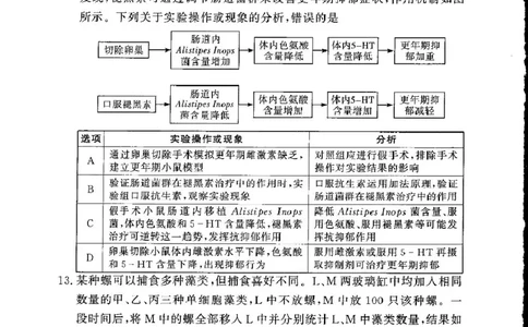 湘豫名校联考2024-2025学年高三下学期第四次模拟考试生物试卷_2025年5月_250527湘豫名校联考2024-2025学年高三下学期第四次模拟考试（全科）