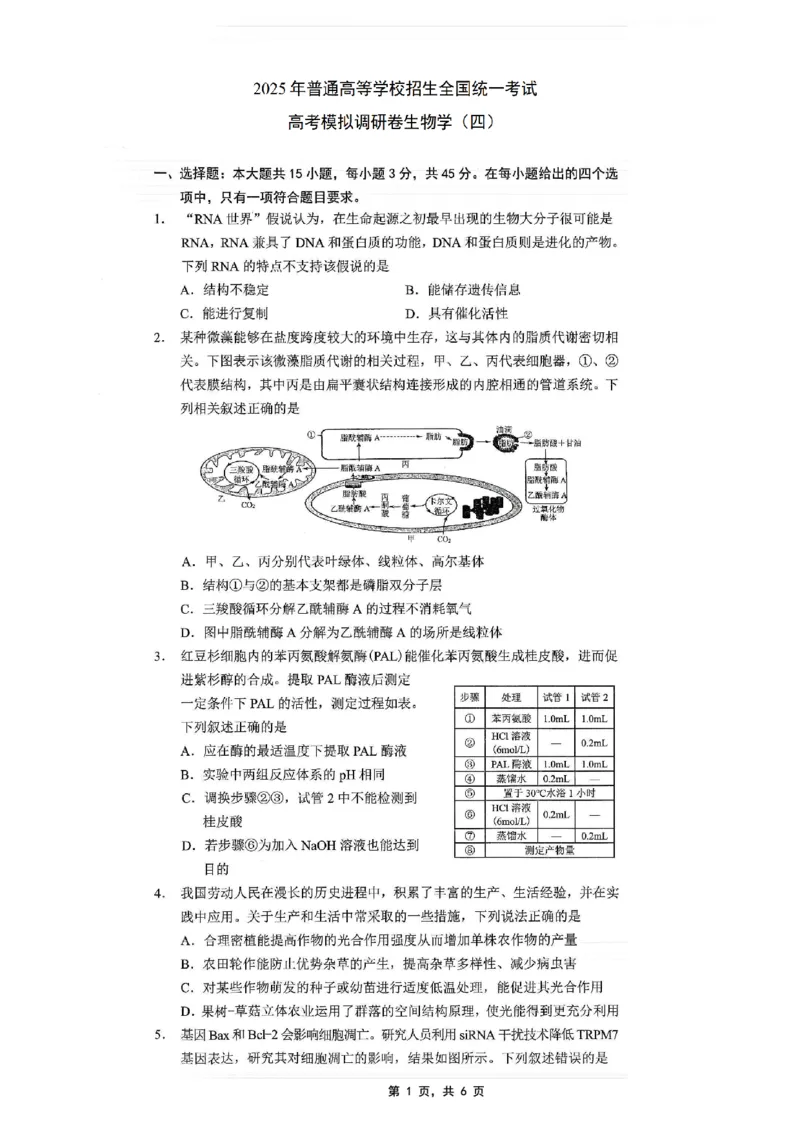 重庆市2025年普通高等学校招生全国统一考试康德调研（四）生物_2025年4月_250402重庆市2025年普通高等学校招生全国统一考试康德调研（四）（全科）