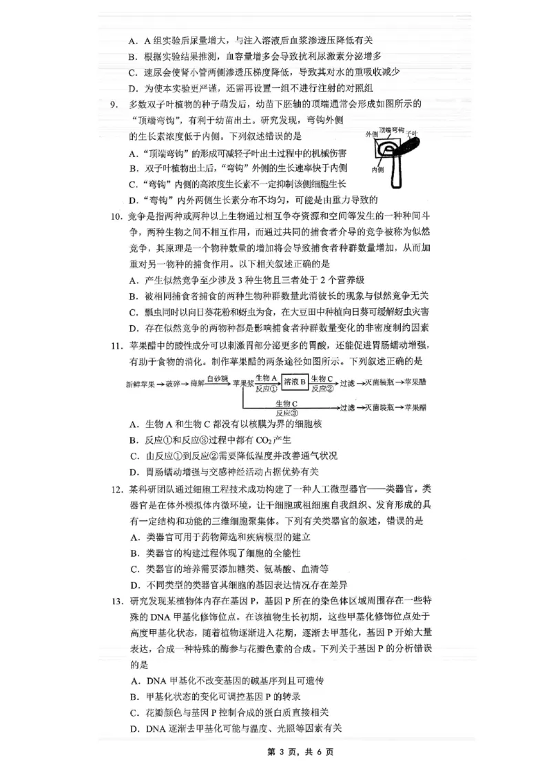 重庆市2025年普通高等学校招生全国统一考试康德调研（四）生物_2025年4月_250402重庆市2025年普通高等学校招生全国统一考试康德调研（四）（全科）