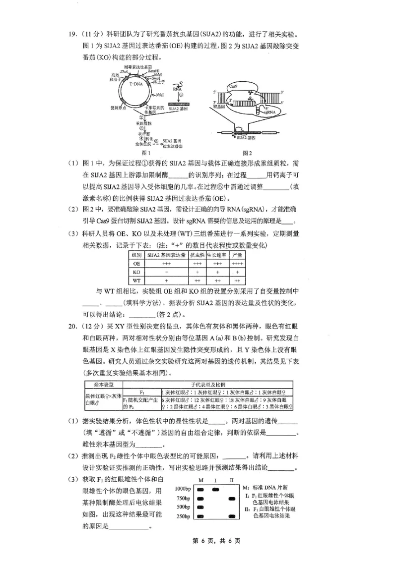 重庆市2025年普通高等学校招生全国统一考试康德调研（四）生物_2025年4月_250402重庆市2025年普通高等学校招生全国统一考试康德调研（四）（全科）