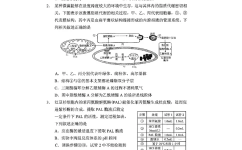 重庆市2025年普通高等学校招生全国统一考试康德调研（四）生物_2025年4月_250402重庆市2025年普通高等学校招生全国统一考试康德调研（四）（全科）