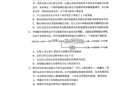重庆市2025年普通高等学校招生全国统一考试康德调研（四）生物_2025年4月_250402重庆市2025年普通高等学校招生全国统一考试康德调研（四）（全科）