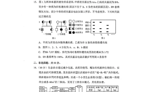 重庆市2025年普通高等学校招生全国统一考试康德调研（四）生物_2025年4月_250402重庆市2025年普通高等学校招生全国统一考试康德调研（四）（全科）