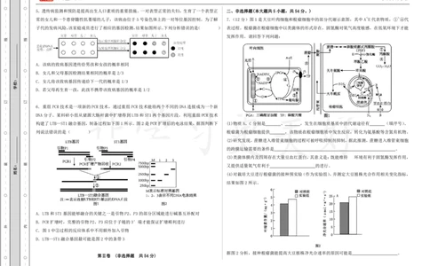 (8.43)-点睛押题卷&mdash;&mdash;新课标卷（云南、山西、河南）_2024高考押题卷_132024高途全系列_26高途点睛卷_2024点睛密卷-生物