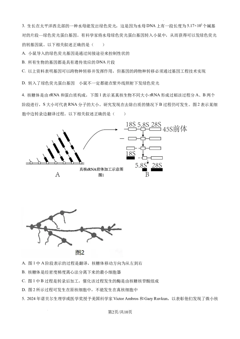 精品解析：2025届江西省高三4月适应性统考生物学试卷（原卷版）_2025年5月_2505272025年江西省普通高等学校招生统一考试模拟演练科试题卷