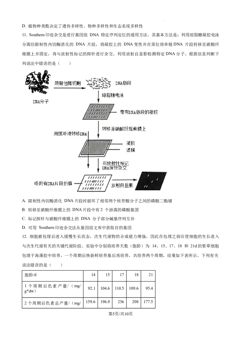 精品解析：2025届江西省高三4月适应性统考生物学试卷（原卷版）_2025年5月_2505272025年江西省普通高等学校招生统一考试模拟演练科试题卷