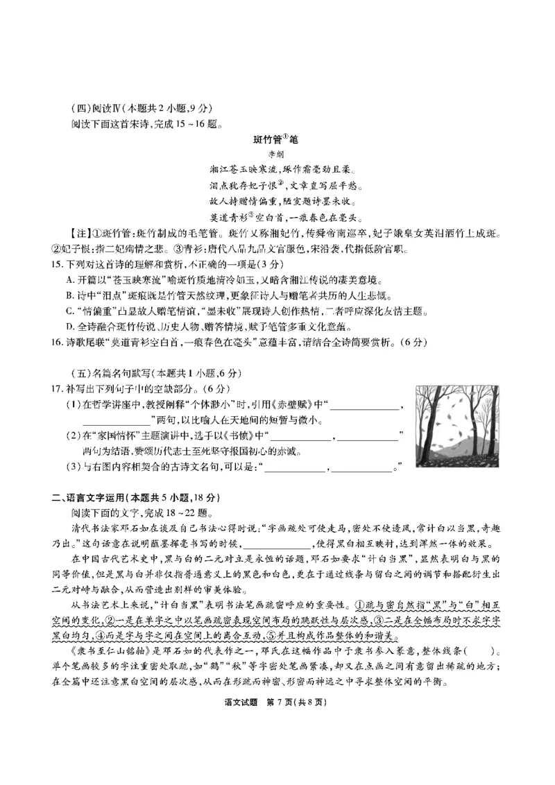 安徽六校高三-语文试题_2025年9月_250913安徽六校教育联盟会2026届高三年级入学素养测试（全科）_安徽六校-语文