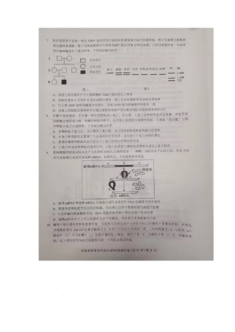 湖北部分名校2025届高三1月联考（云学联盟）生物试题+答案_2025年1月_250121湖北部分名校2025届高三1月联考（云学联盟）