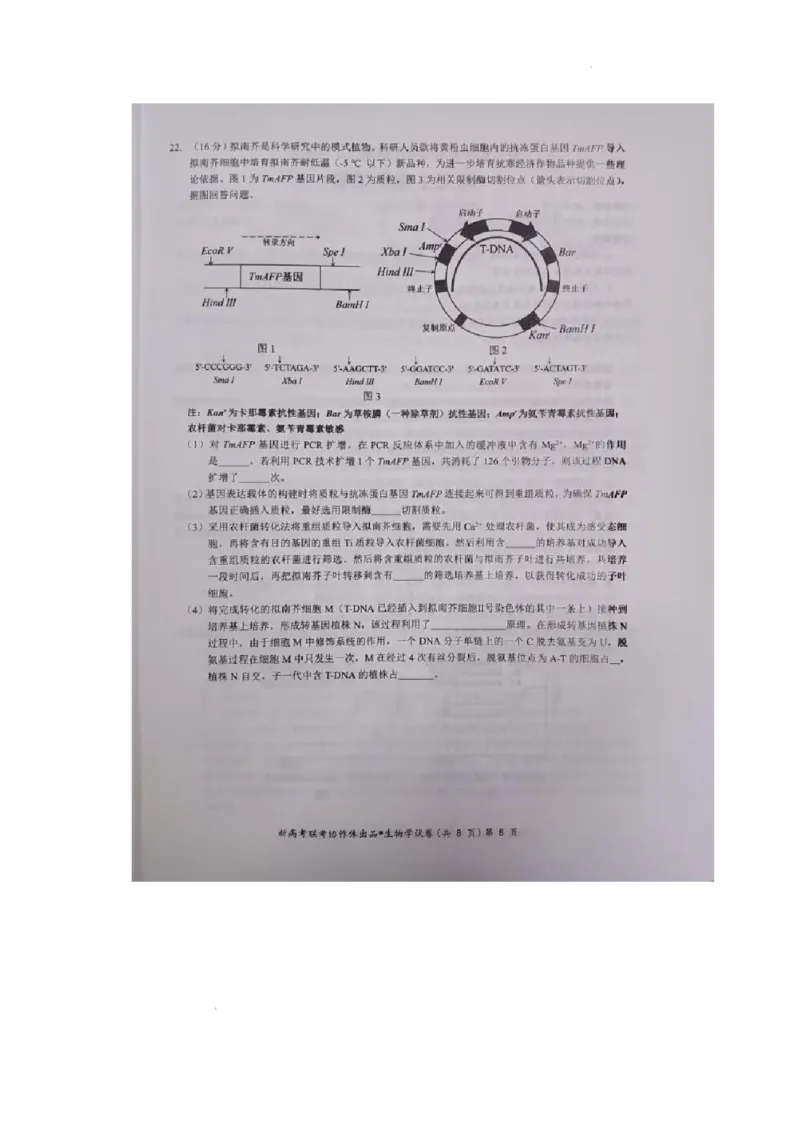 湖北部分名校2025届高三1月联考（云学联盟）生物试题+答案_2025年1月_250121湖北部分名校2025届高三1月联考（云学联盟）
