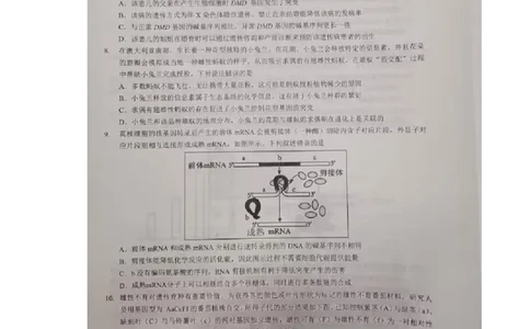 湖北部分名校2025届高三1月联考（云学联盟）生物试题+答案_2025年1月_250121湖北部分名校2025届高三1月联考（云学联盟）