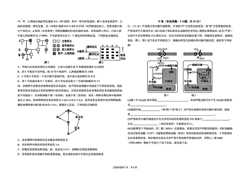 黑龙江省哈尔滨市第九中学校2024-2025学年高三下学期第二次模拟考试生物学科试卷（无答案）_2025年4月_250404哈尔滨市第九中学校2025届高三下学期第二次模拟考试（全科）