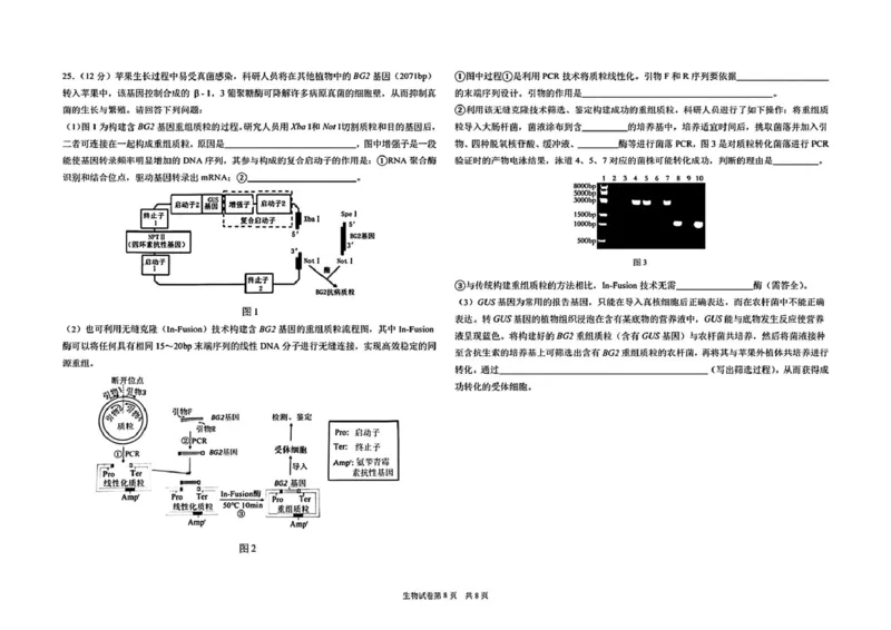 黑龙江省哈尔滨市第九中学校2024-2025学年高三下学期第二次模拟考试生物学科试卷（无答案）_2025年4月_250404哈尔滨市第九中学校2025届高三下学期第二次模拟考试（全科）