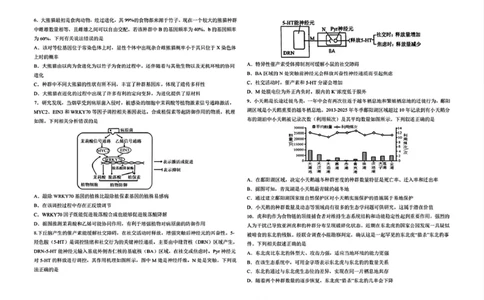 黑龙江省哈尔滨市第九中学校2024-2025学年高三下学期第二次模拟考试生物学科试卷（无答案）_2025年4月_250404哈尔滨市第九中学校2025届高三下学期第二次模拟考试（全科）