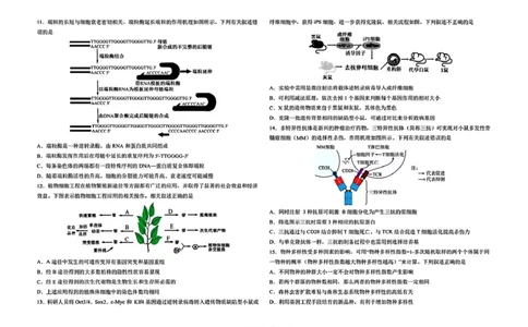 黑龙江省哈尔滨市第九中学校2024-2025学年高三下学期第二次模拟考试生物学科试卷（无答案）_2025年4月_250404哈尔滨市第九中学校2025届高三下学期第二次模拟考试（全科）