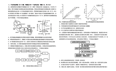 黑龙江省哈尔滨市第九中学校2024-2025学年高三下学期第二次模拟考试生物学科试卷（无答案）_2025年4月_250404哈尔滨市第九中学校2025届高三下学期第二次模拟考试（全科）