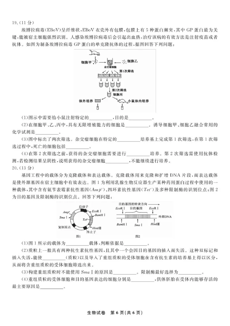 安徽省安庆市第一中学2025-2026学年高三上学期8月开学考试生物试题_2025年8月_250827安徽安庆一中2026届高三上学期8月开学考试