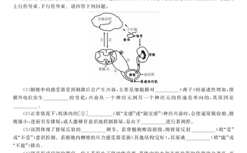 安徽省安庆市第一中学2025-2026学年高三上学期8月开学考试生物试题_2025年8月_250827安徽安庆一中2026届高三上学期8月开学考试