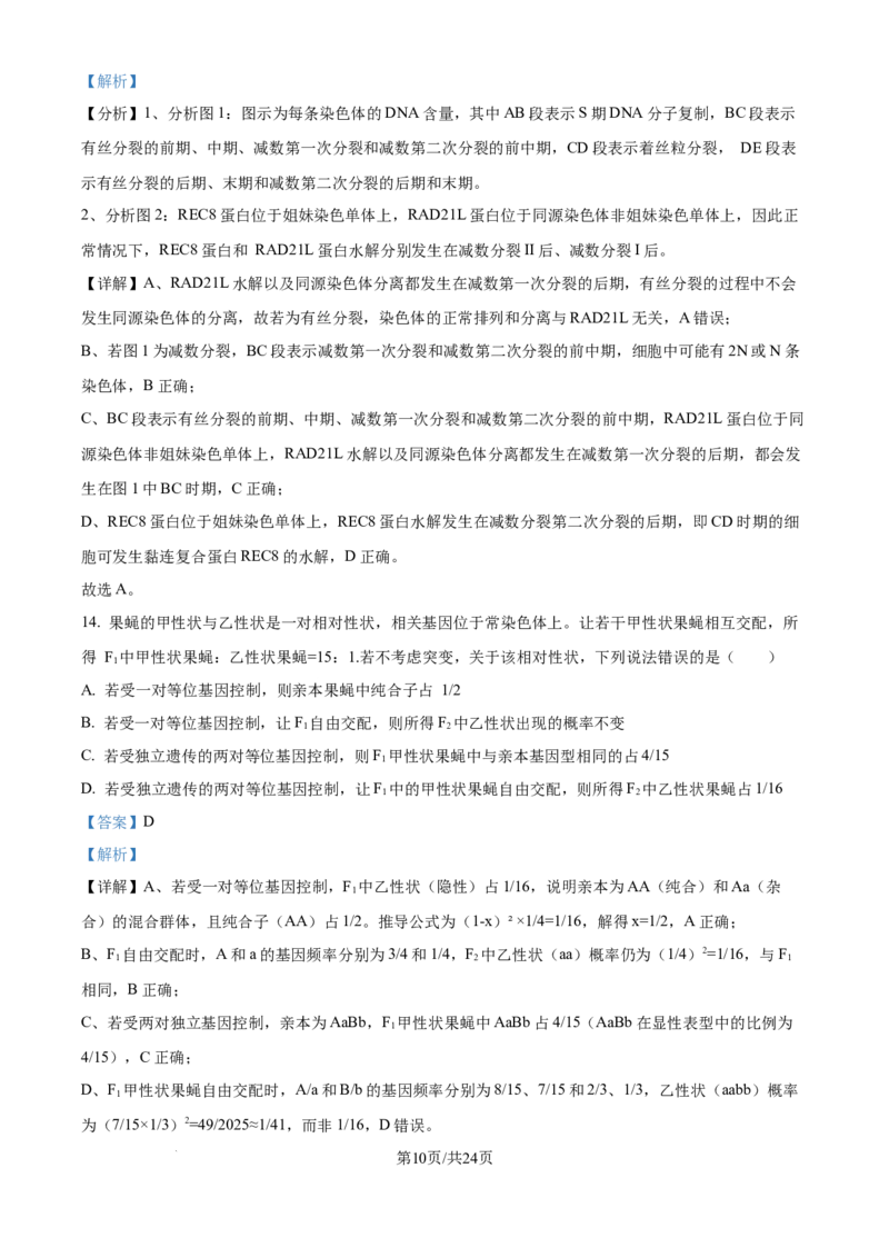 精品解析：山东省实验中学2025&mdash;2026学年高三上学期第一次诊断性考试生物试题（解析版）_2025年10月_251016山东省实验中学2026届高三第一次诊断性考试（10月）