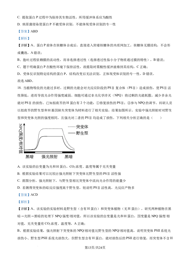 精品解析：山东省实验中学2025&mdash;2026学年高三上学期第一次诊断性考试生物试题（解析版）_2025年10月_251016山东省实验中学2026届高三第一次诊断性考试（10月）
