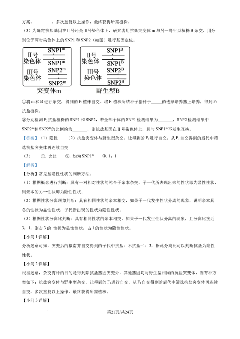 精品解析：山东省实验中学2025&mdash;2026学年高三上学期第一次诊断性考试生物试题（解析版）_2025年10月_251016山东省实验中学2026届高三第一次诊断性考试（10月）