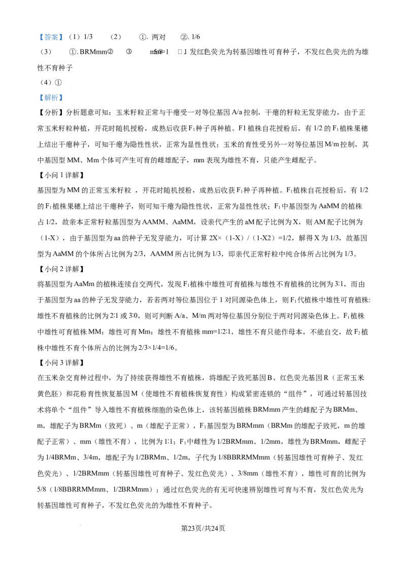 精品解析：山东省实验中学2025&mdash;2026学年高三上学期第一次诊断性考试生物试题（解析版）_2025年10月_251016山东省实验中学2026届高三第一次诊断性考试（10月）