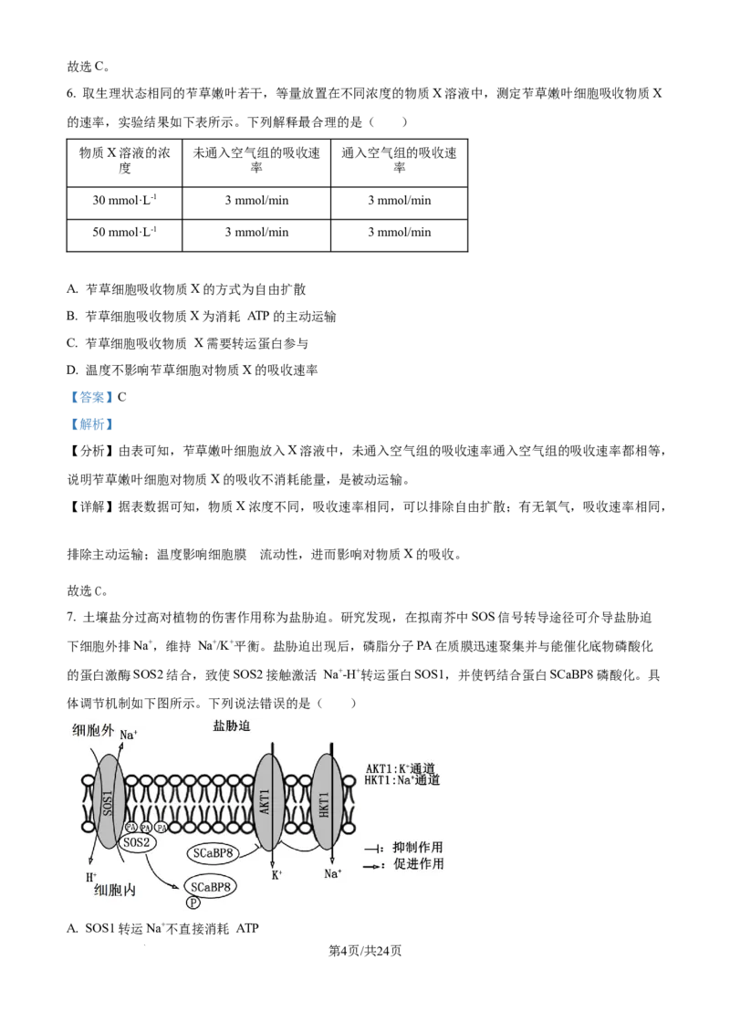 精品解析：山东省实验中学2025&mdash;2026学年高三上学期第一次诊断性考试生物试题（解析版）_2025年10月_251016山东省实验中学2026届高三第一次诊断性考试（10月）